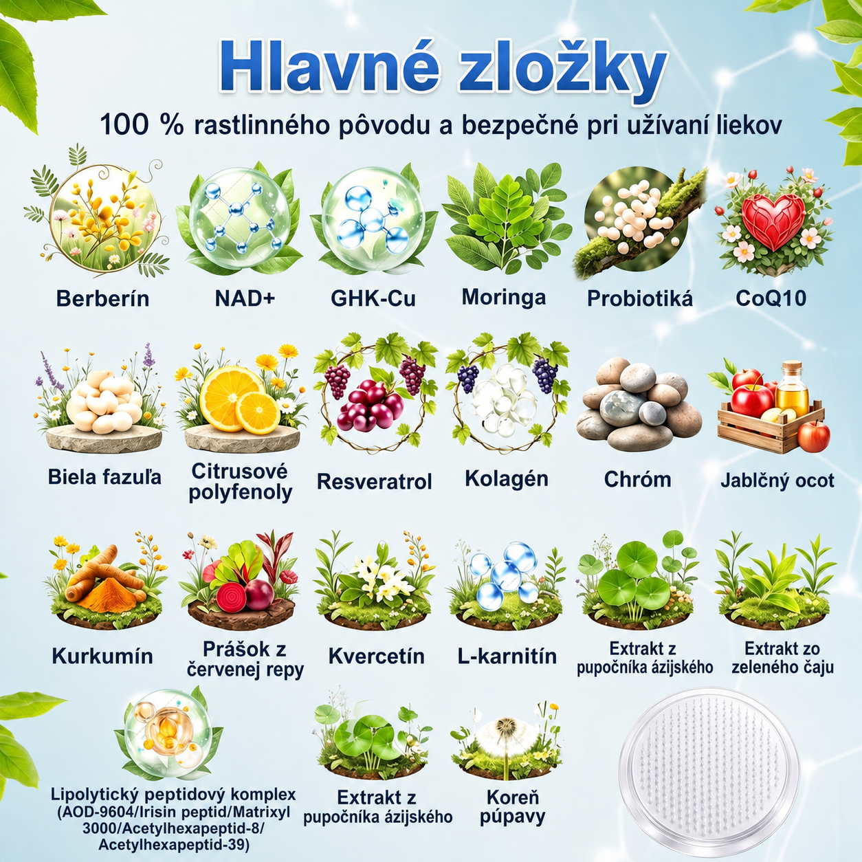 🇸🇰 AMZKEEP® Moringa · Berberín × NAD+ 10 v 1 — Nano mikroihličková náplasť pre podporu metabolizmu, energie a kontroly hmotnostiJedna náplasť denne · Podpora chuti do jedla, pokožky, spánku a každodennej vitality