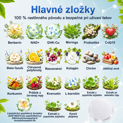🇸🇰 AMZKEEP® Moringa · Berberín × NAD+ 10 v 1 — Nano mikroihličková náplasť pre podporu metabolizmu, energie a kontroly hmotnostiJedna náplasť denne · Podpora chuti do jedla, pokožky, spánku a každodennej vitality